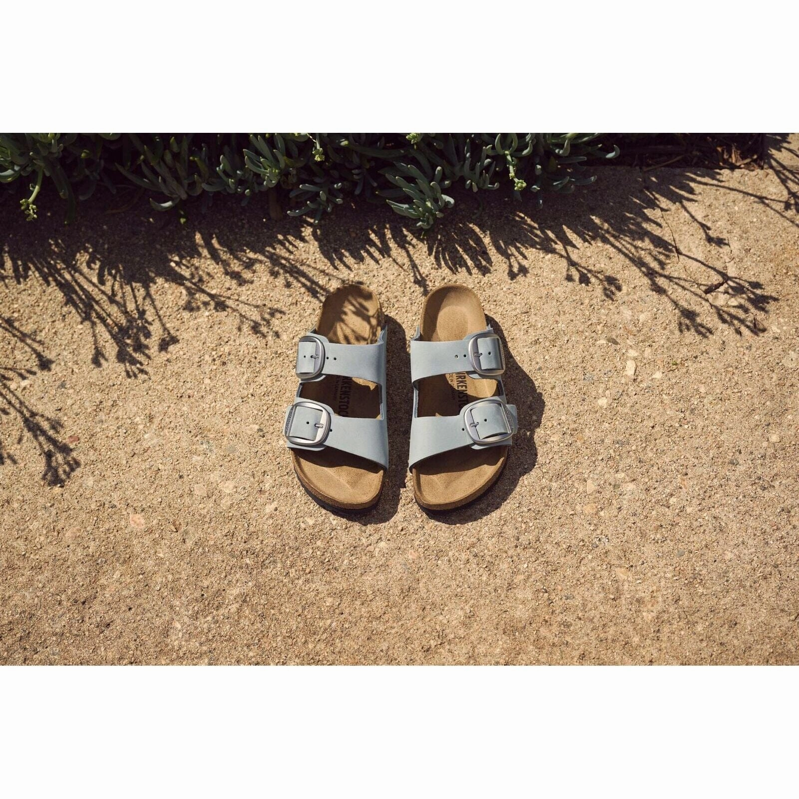 BIRKENSTOCK ARIZONA BIG BUCKLE Birkenstock comfortable casual footwear
