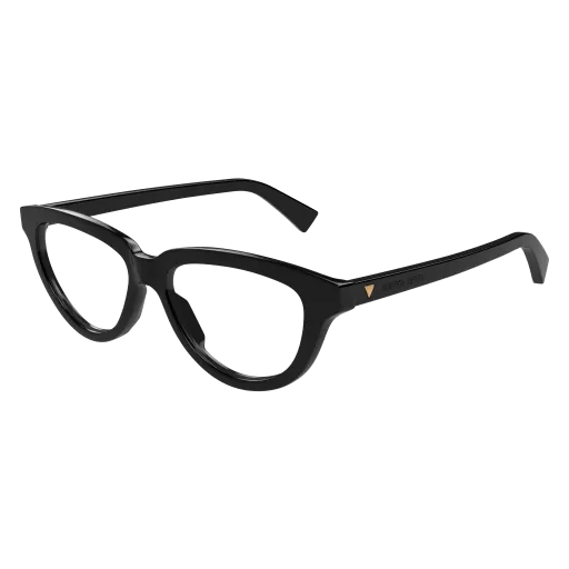 Bottega Veneta BV1366O 001