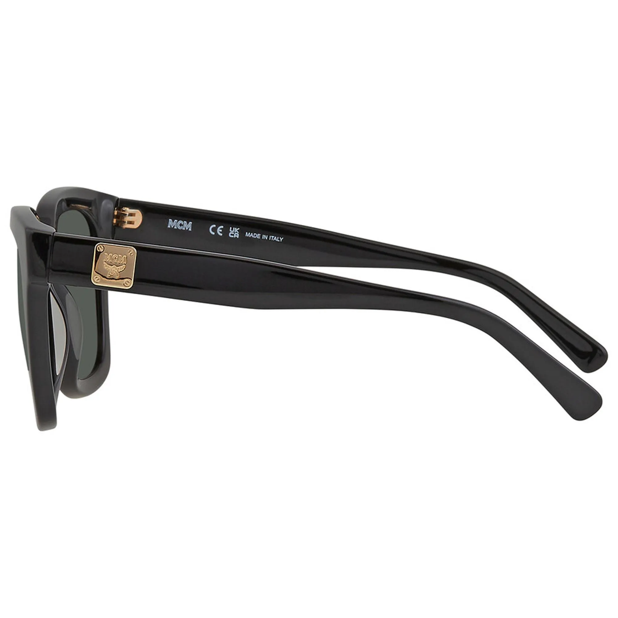 MCM Women's Sunglasses - Green Rectangular Full Rim Acetate Frame | MCM610S 001 Mcm Sunglasses