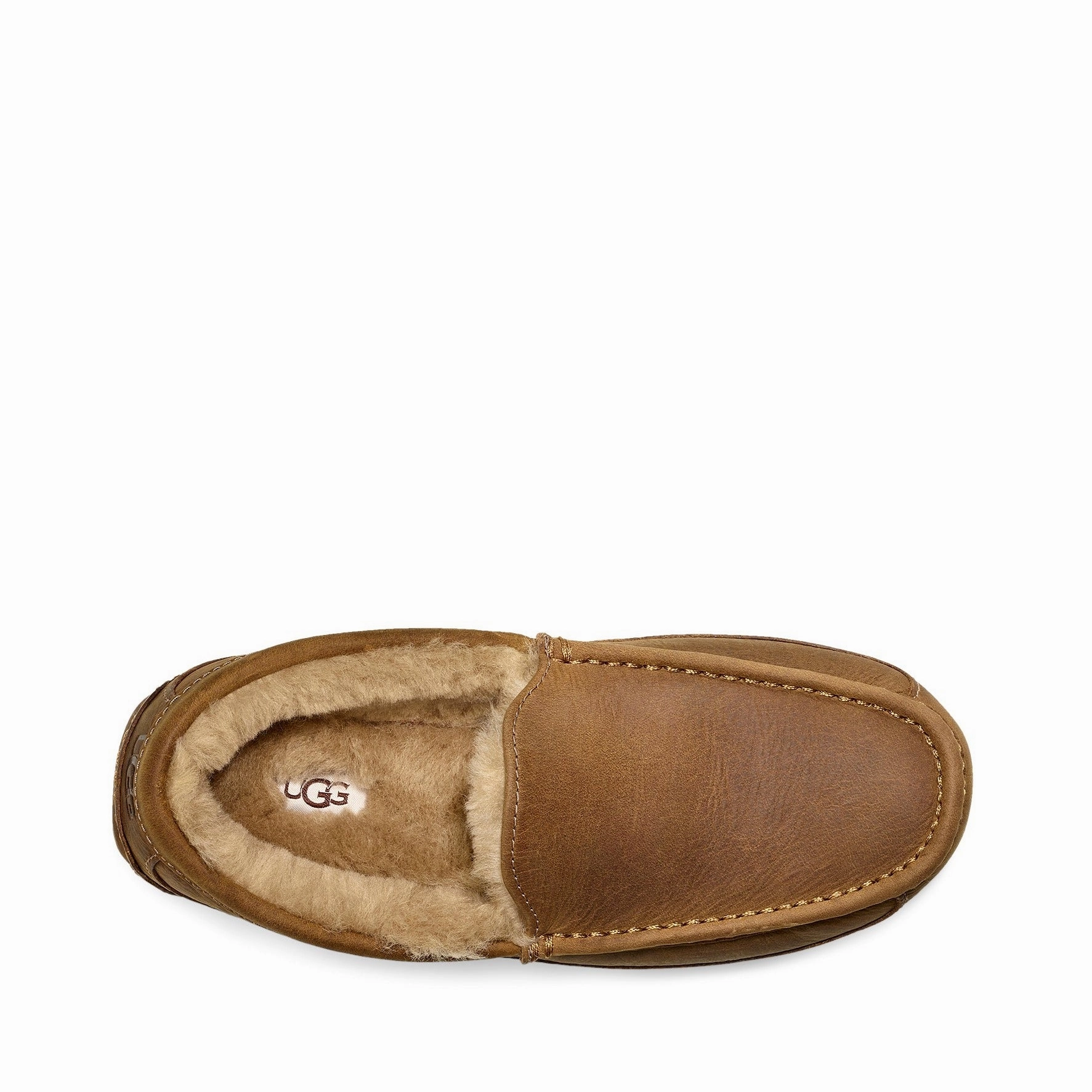 MEN'S ASCOT Ugg Tasman Edition