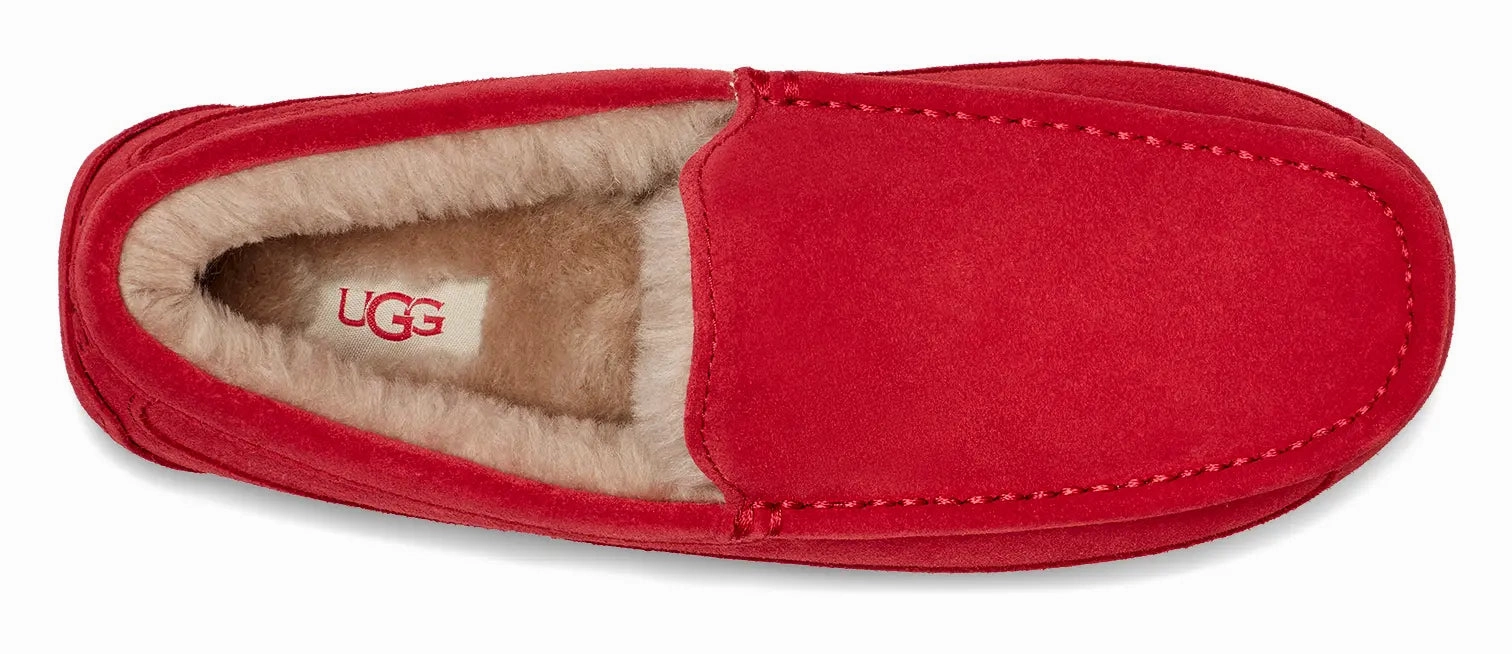 Mens UGG Ascot (Suede)  Classic Moc-Toe Slipper with Indoor/Outdoor Comfort Ugg cozy footwear visuals