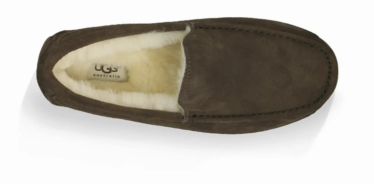 Mens UGG Ascot (Suede)  Classic Moc-Toe Slipper with Indoor/Outdoor Comfort Ugg cozy footwear visuals