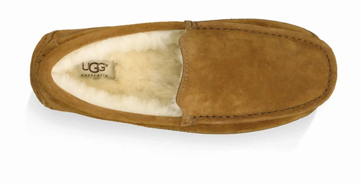 Mens UGG Ascot (Suede)  Classic Moc-Toe Slipper with Indoor/Outdoor Comfort Ugg cozy footwear visuals