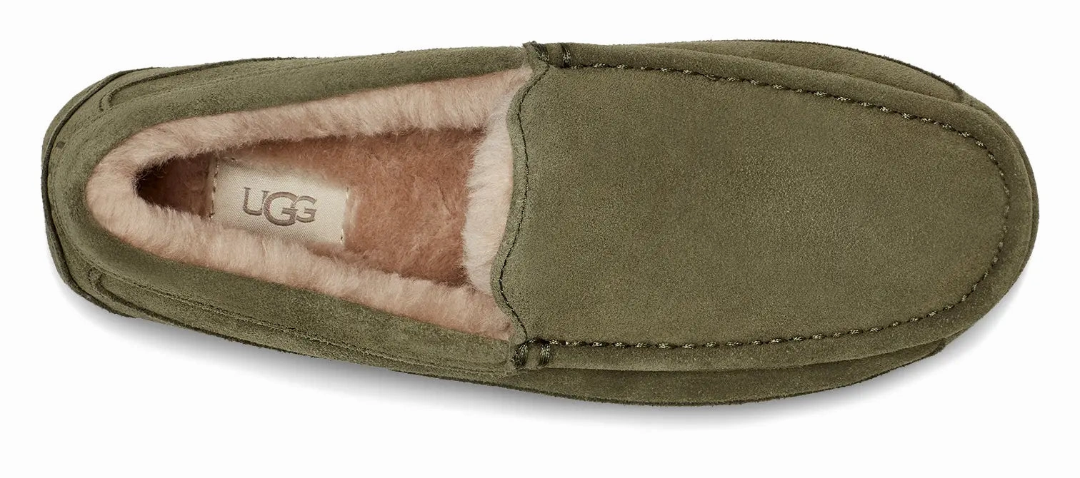 Mens UGG Ascot (Suede)  Classic Moc-Toe Slipper with Indoor/Outdoor Comfort Ugg cozy footwear visuals
