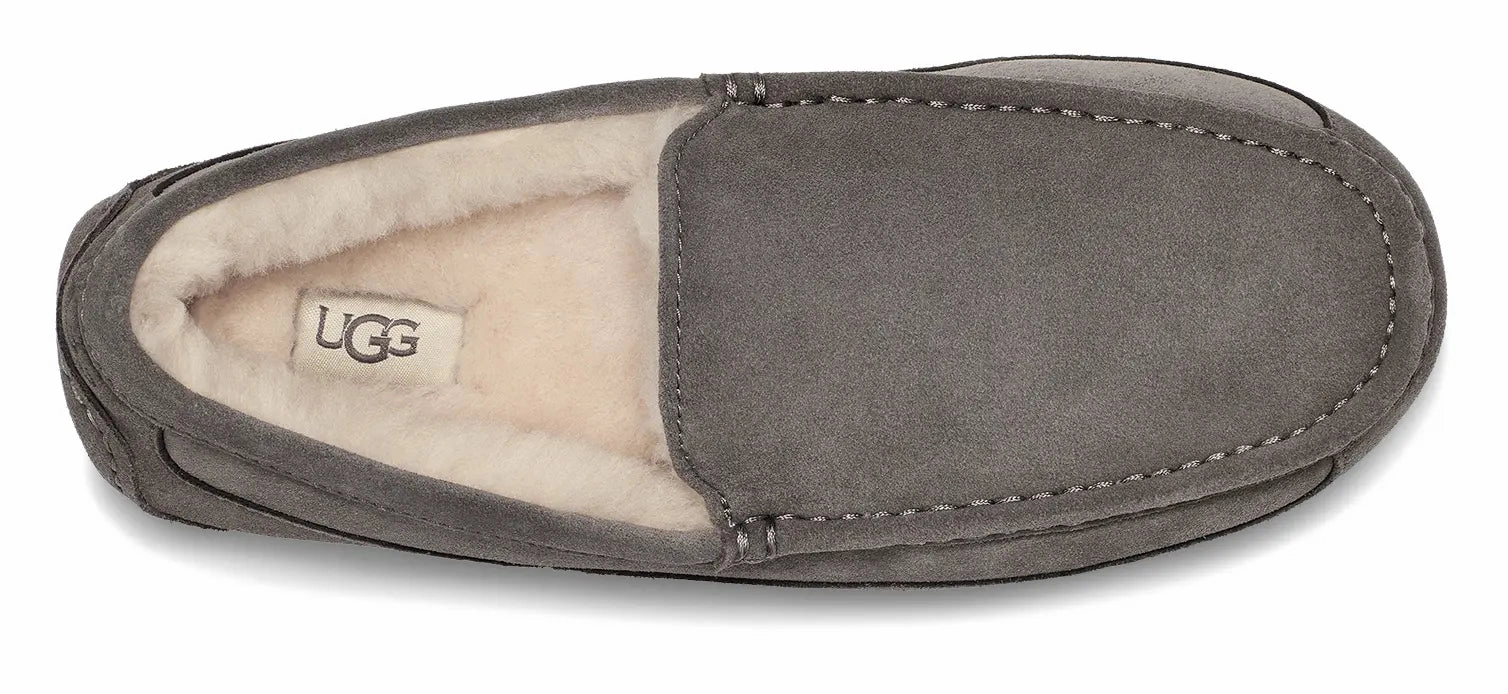 Mens UGG Ascot (Suede)  Classic Moc-Toe Slipper with Indoor/Outdoor Comfort Ugg cozy footwear visuals