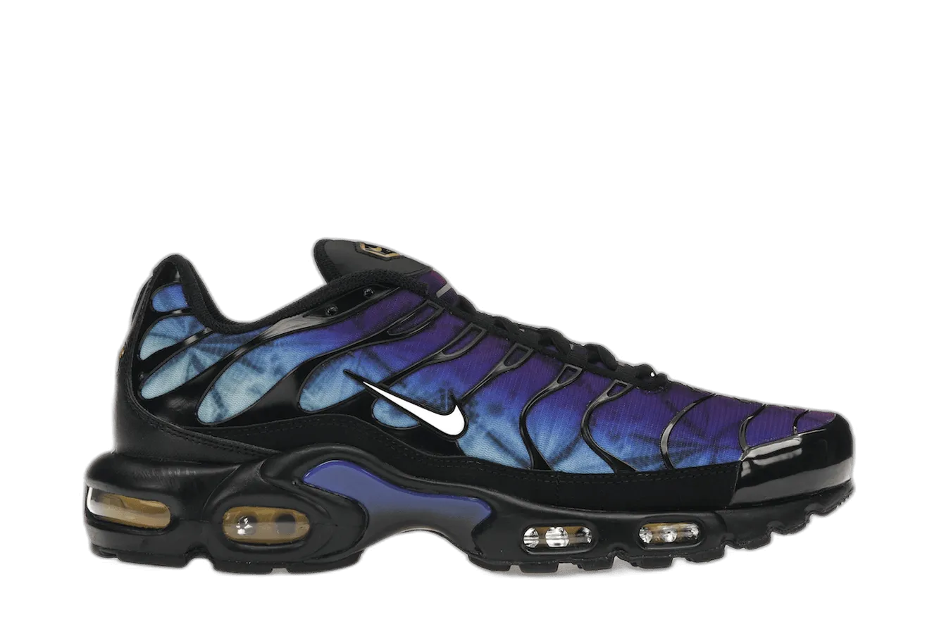 Nike Air Max Plus 25th Anniversary Nike Air Max casual shoes with visible air tech