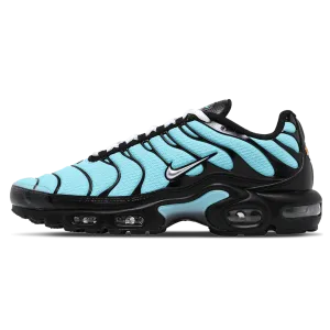 Nike Air Max Plus 'Aqua Silver' Nike Air Max lifestyle sneakers with sport details