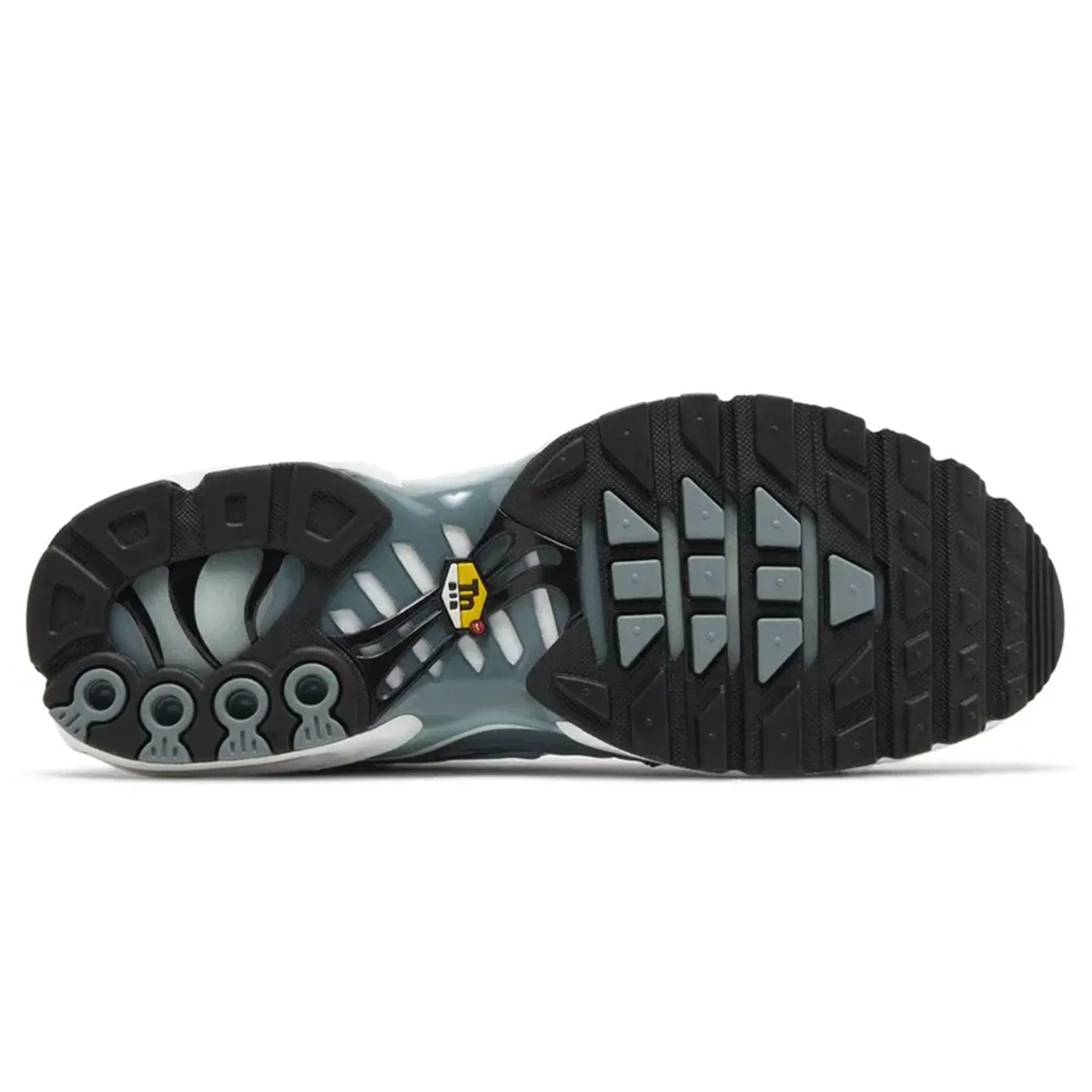 Nike Air Max Plus 'Palm Pack - Waterway' Max Plus collection