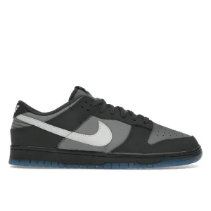 Nike Dunk Low Anthracite Nike Dunk stylish shoes for sport and street