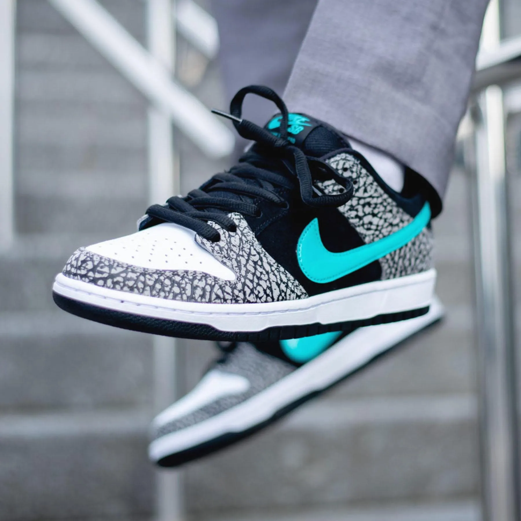 Nike Dunk Low Pro SB 'Atmos Elephant' Nike Dunk stylish shoes
