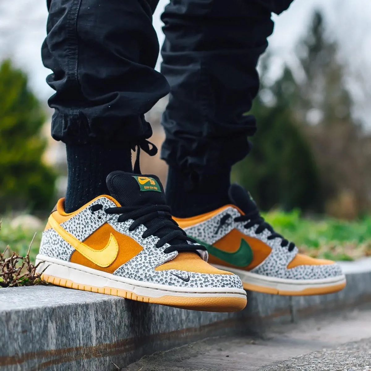 Nike Dunk Low Pro SB 'Safari' Nike Dunk stylish shoes