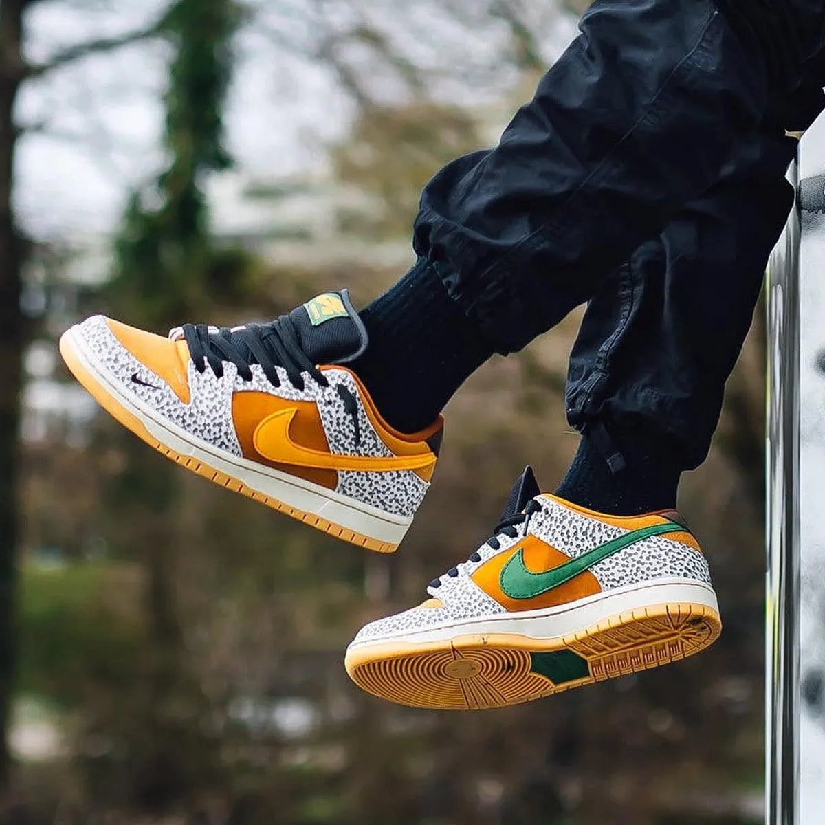 Nike Dunk Low Pro SB 'Safari' Nike Dunk stylish shoes