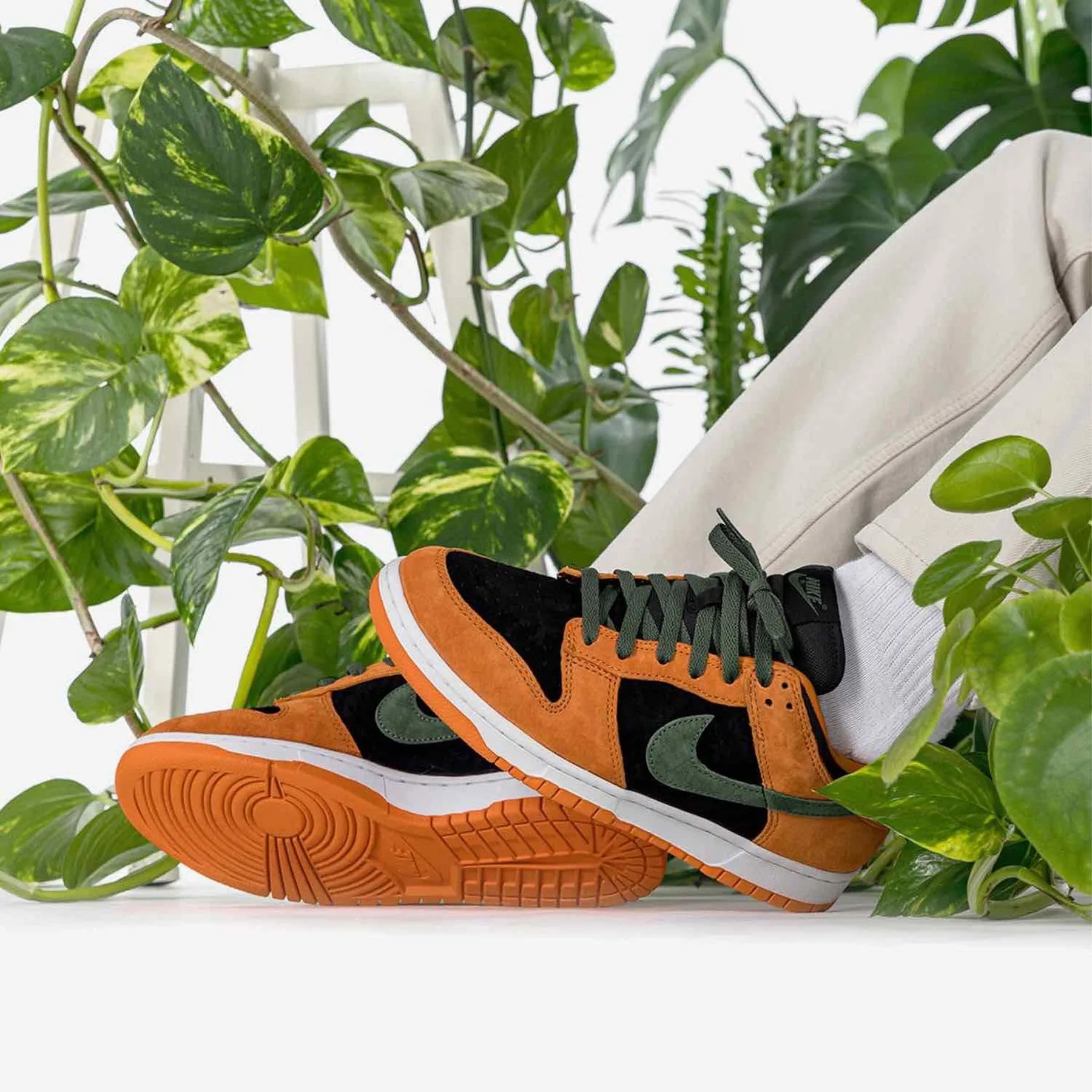 Nike Dunk Low SP Retro 'Ceramic' 2020 Nike Dunk stylish shoes