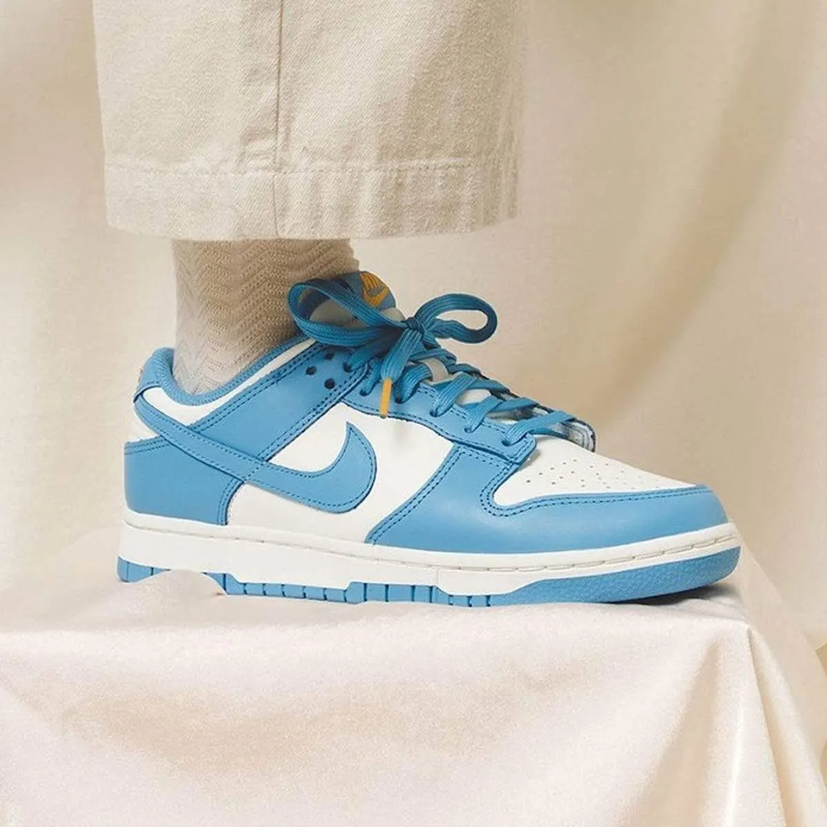 Nike Dunk Wmns Low 'Coast' Nike Dunk stylish shoes