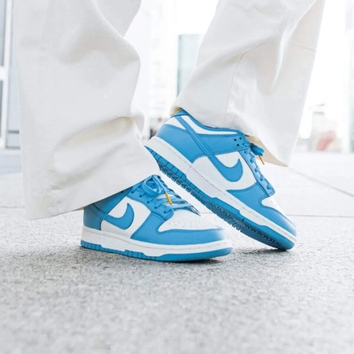 Nike Dunk Wmns Low 'Coast' Nike Dunk stylish shoes