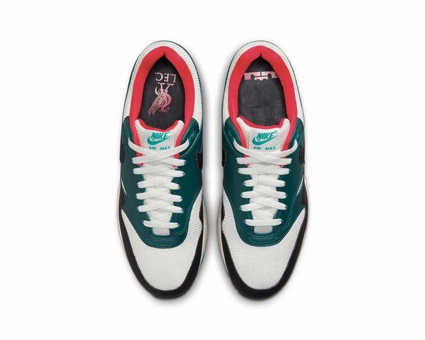 Nike Air Max 1 Prm LBJ Nike Men??s athletic shoes