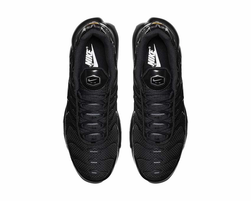 Nike Air Max Plus Black Nike Men??s everyday sneakers