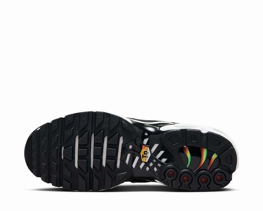 Nike Air Max Plus Nike Women??s everyday sneakers