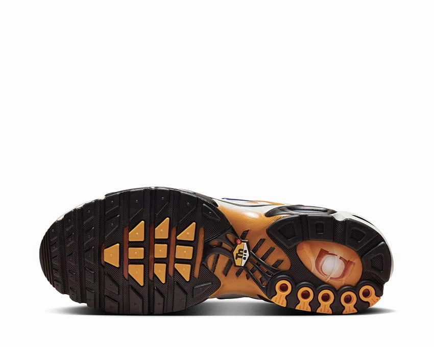 Nike Air Max Plus One Black Down "Reverse" Nike Men??s athletic shoes