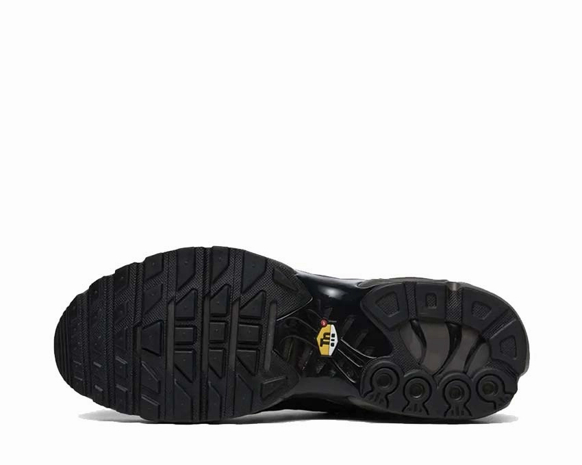 Nike Air Max Plus PRM QS "Paris" Nike Men??s athletic shoes