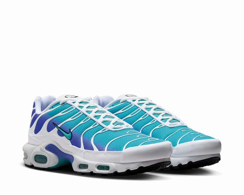 Nike Air Max Plus "Aqua" Nike Men??s athletic shoes
