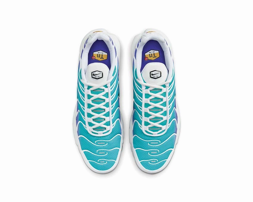 Nike Air Max Plus "Aqua" Nike Men??s athletic shoes