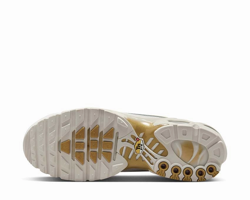 Nike Air Max Plus "Tiempo" Nike Men??s athletic shoes