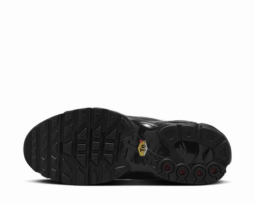 Nike Air Max Plus ?Tiempo? Nike Men??s athletic shoes