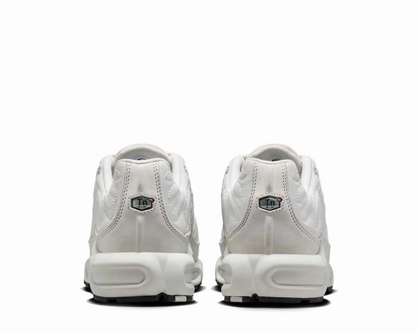 Nike Air Max Plus W Nike Women??s everyday sneakers