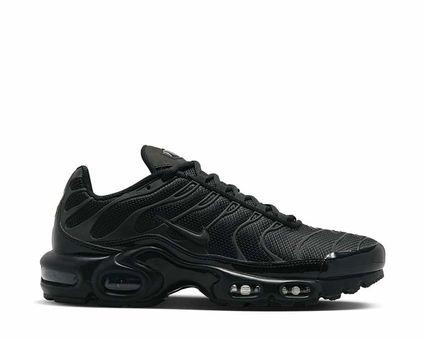 Nike Air Max Plus W Nike women??s sneakers with sporty chic feel