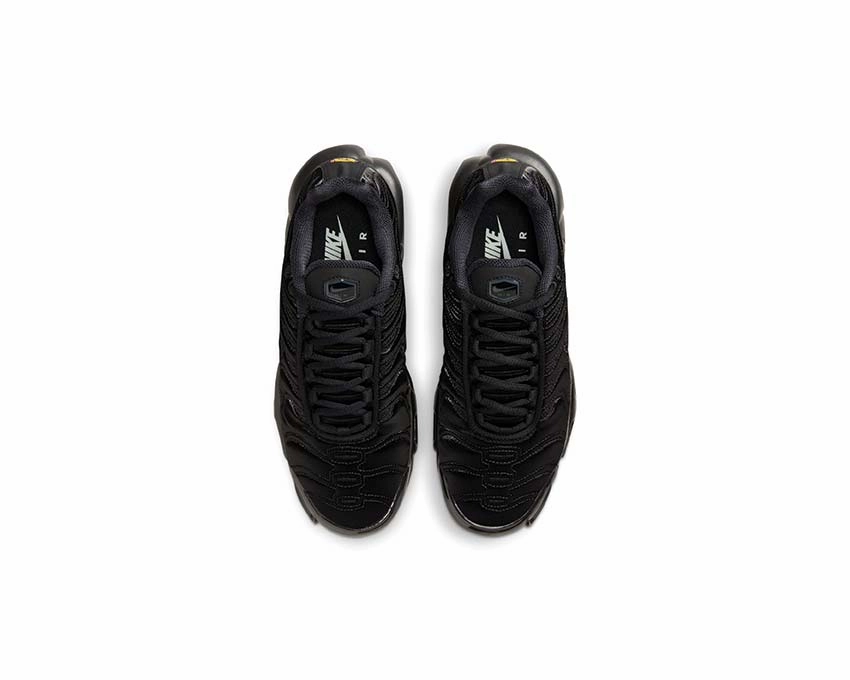 Nike Air Max Plus W Nike Women??s everyday sneakers
