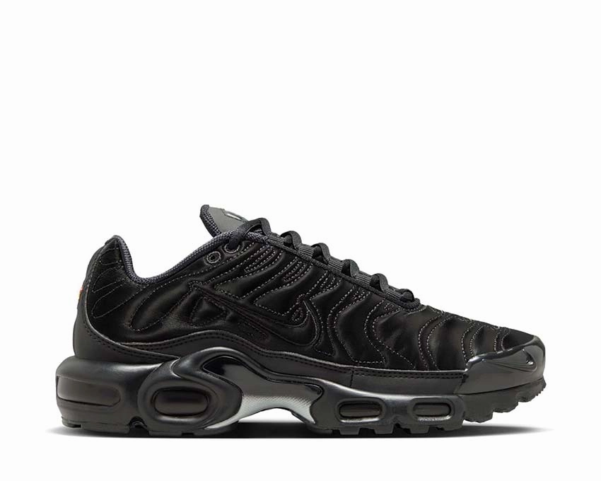 Nike Air Max Plus W Nike women??s sneakers with sporty chic feel