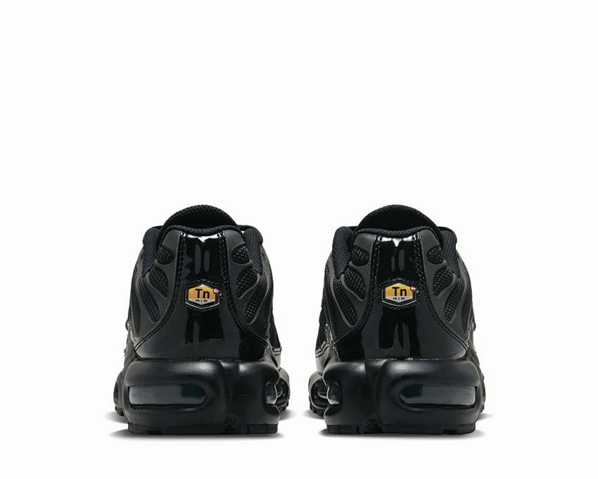Nike Air Max Plus W Nike Women??s everyday sneakers