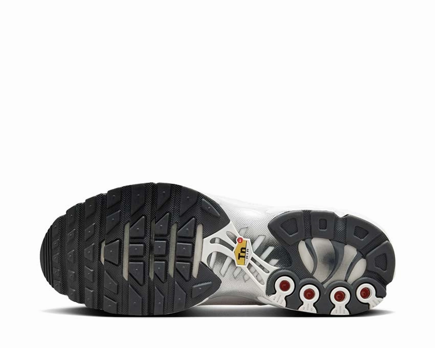 Nike Air Max Plus W Nike Women??s everyday sneakers