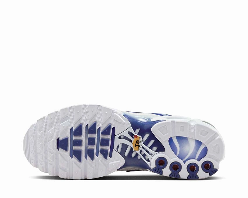 Nike Air Max Plus W Nike Women??s everyday sneakers