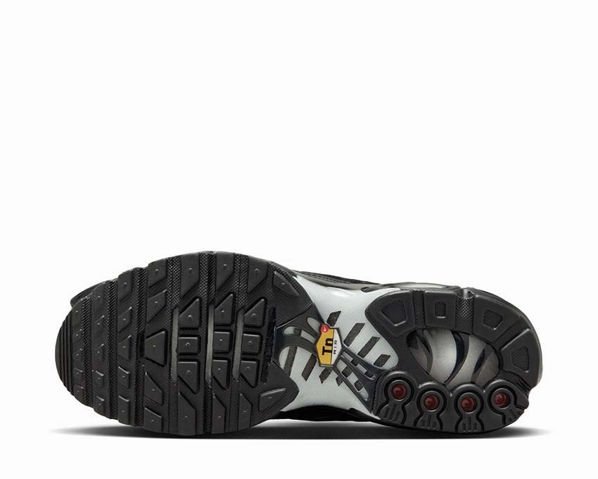 Nike Air Max Plus W Nike Women??s everyday sneakers