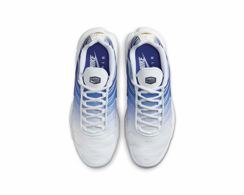 Nike Air Max Plus W Nike Women??s everyday sneakers