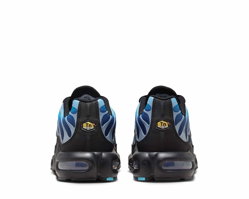 Nike Air Max Plus W Nike Women??s everyday sneakers