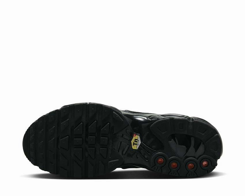 Nike Air Max Plus W Nike Women??s everyday sneakers