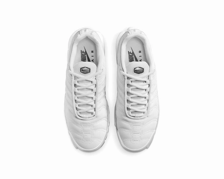 Nike Air Max Plus W Nike Women??s everyday sneakers