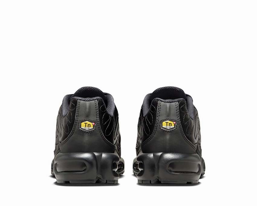Nike Air Max Plus W Nike Women??s everyday sneakers