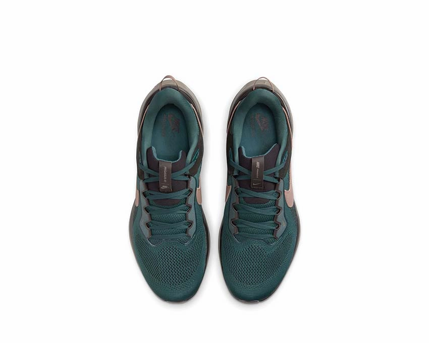 Nike Air Zoom Pegasus 41 SP Nike Men??s athletic shoes