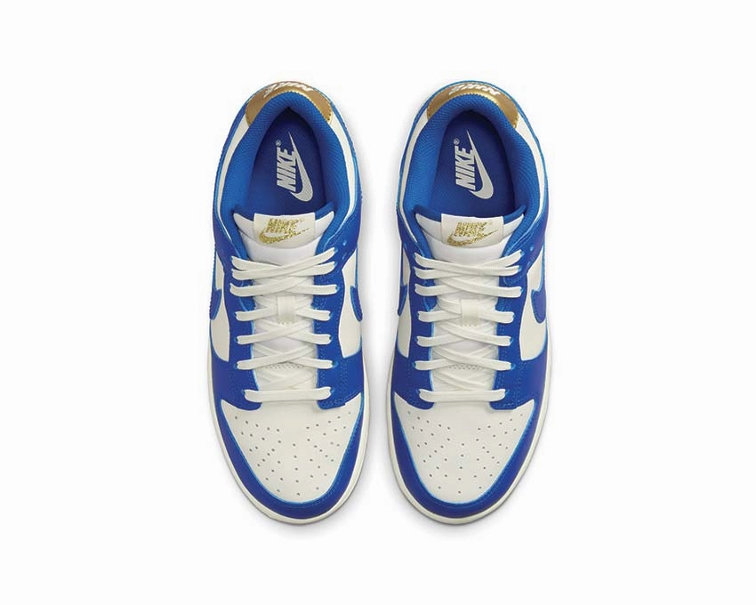 Nike Dunk Low W Nike Women??s everyday sneakers