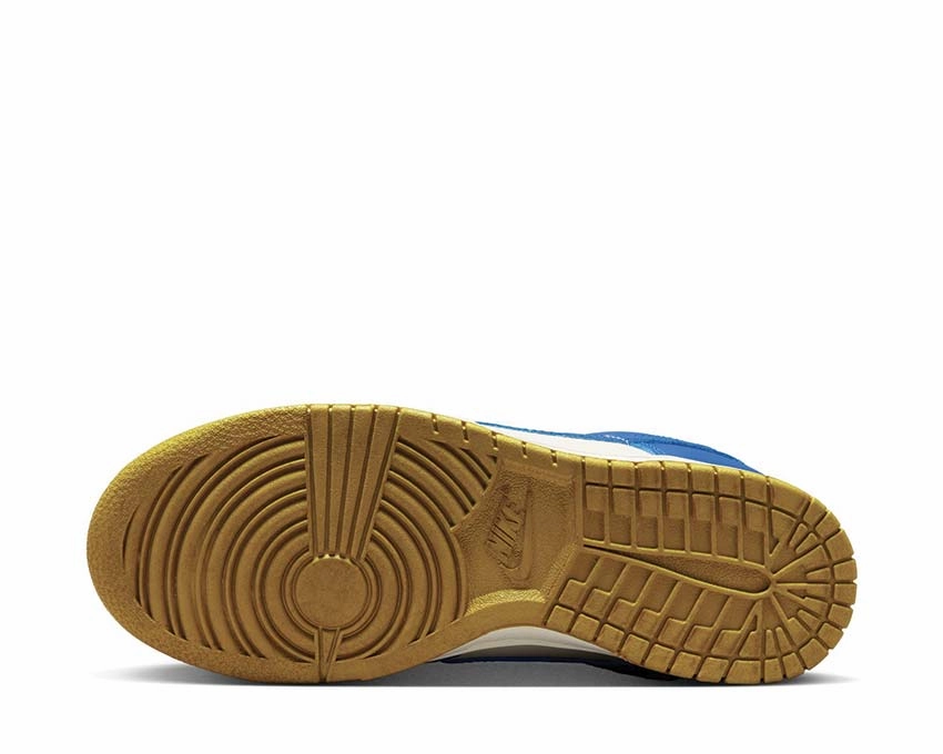 Nike Dunk Low W Nike Women??s everyday sneakers