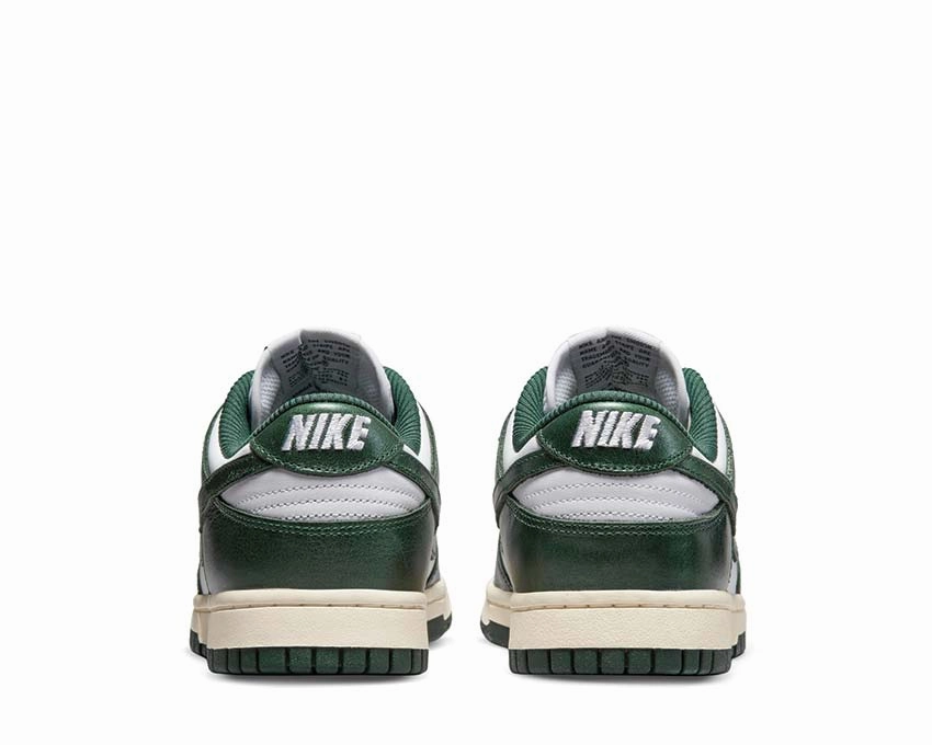 Nike Dunk Low W Nike Women??s everyday sneakers