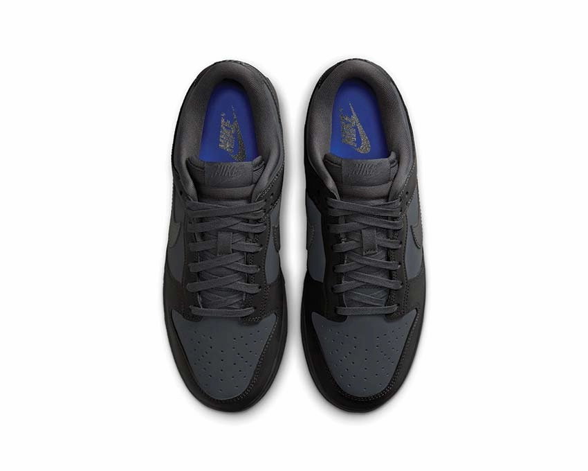 Nike Dunk Low W Nike Women??s everyday sneakers