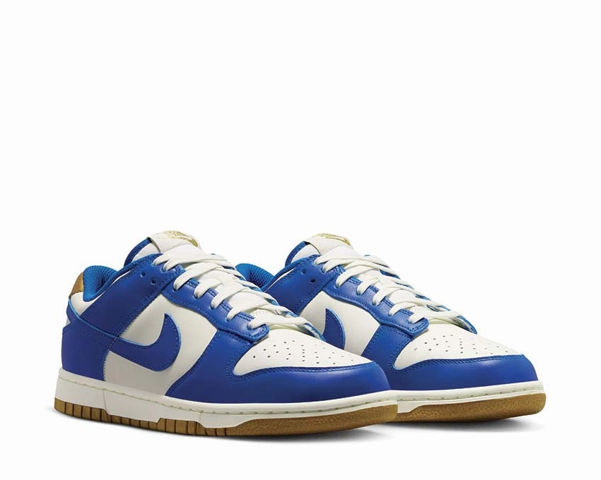 Nike Dunk Low W Nike Women??s everyday sneakers
