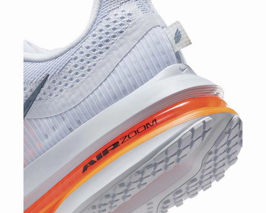 Nike Pegasus Premium W Nike Women??s everyday sneakers