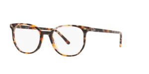 Ray-Ban Elliot RX5397 8173