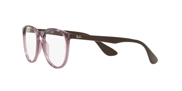 Ray-Ban Erika RX7046 8139